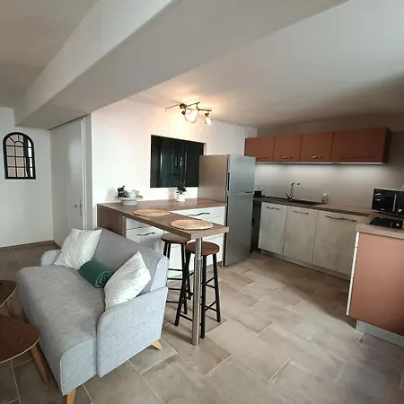 T2 Meuble Plein Centre-ville 公寓