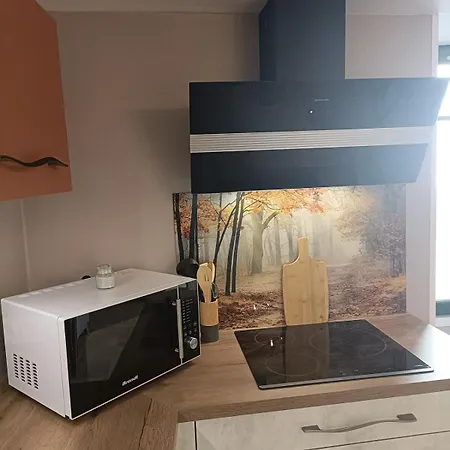 T2 Meuble Plein Centre-ville Apartment
