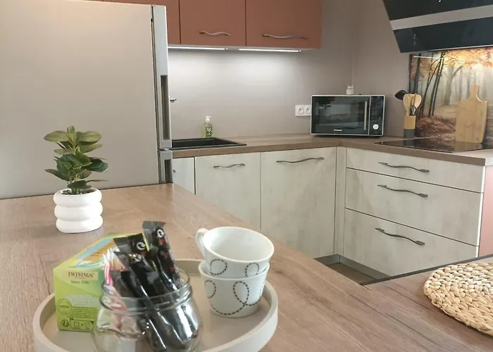 T2 Meuble Plein Centre-ville *