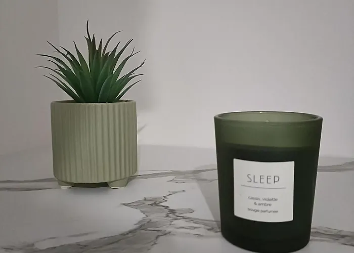 T2 Meuble Plein Centre-ville Apartment Fontenay-le-Comte