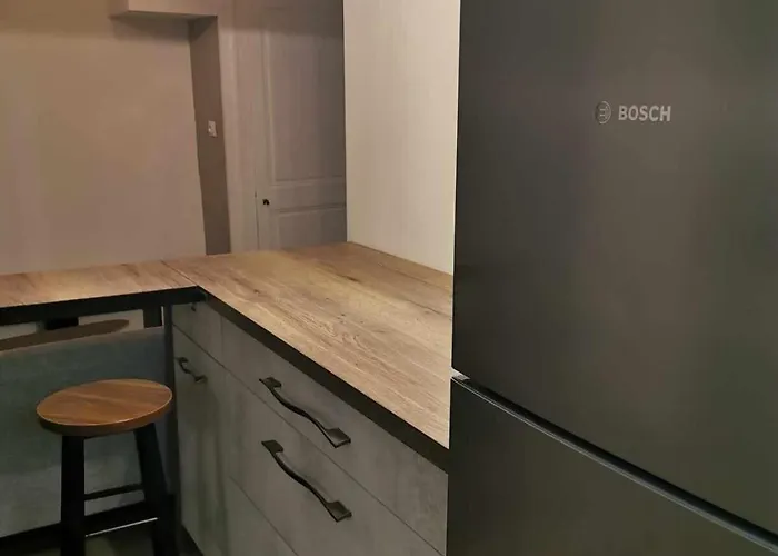 T2 Meuble Plein Centre-ville