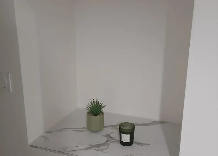 T2 Meuble Plein Centre-ville فونتيناي لو كومت