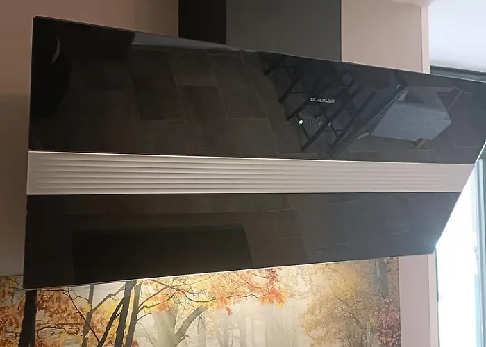 T2 Meuble Plein Centre-ville *