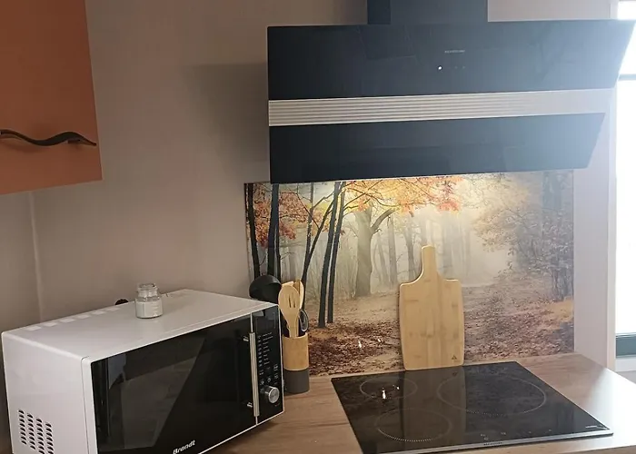 T2 Meuble Plein Centre-ville Apartment