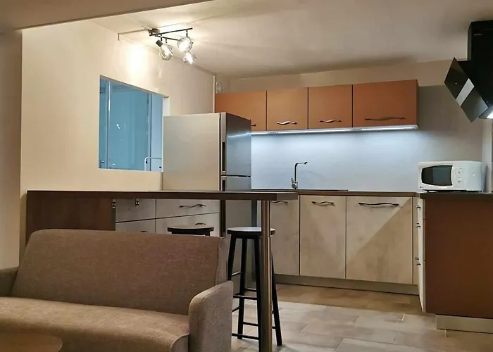 T2 Meuble Plein Centre-ville *